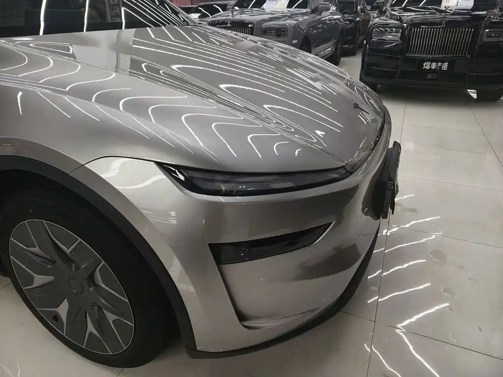 Tesla Model Y L — миниатюра 6