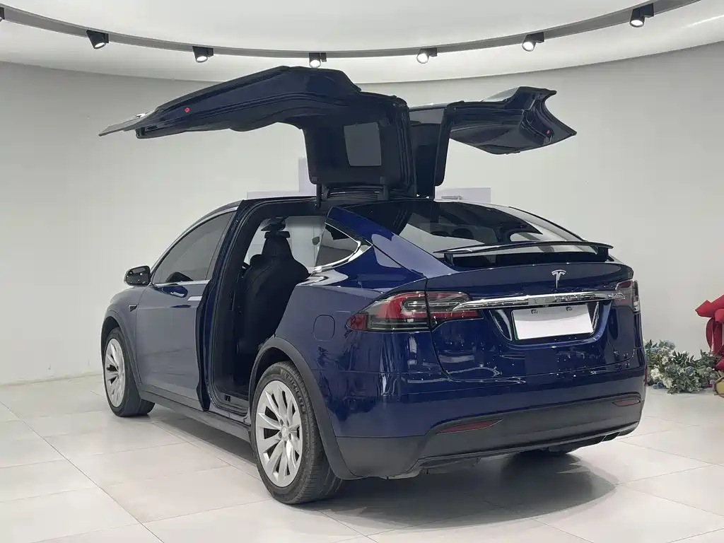 Tesla Model X 2017 Model X 100D