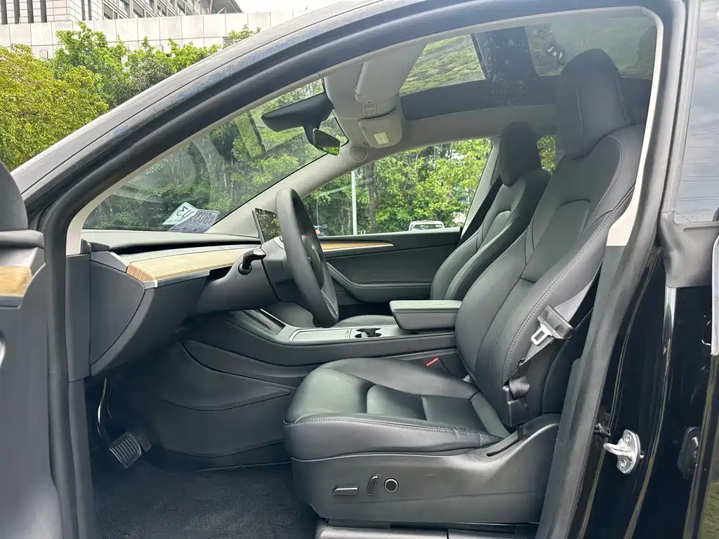 Tesla Model Y — миниатюра 4