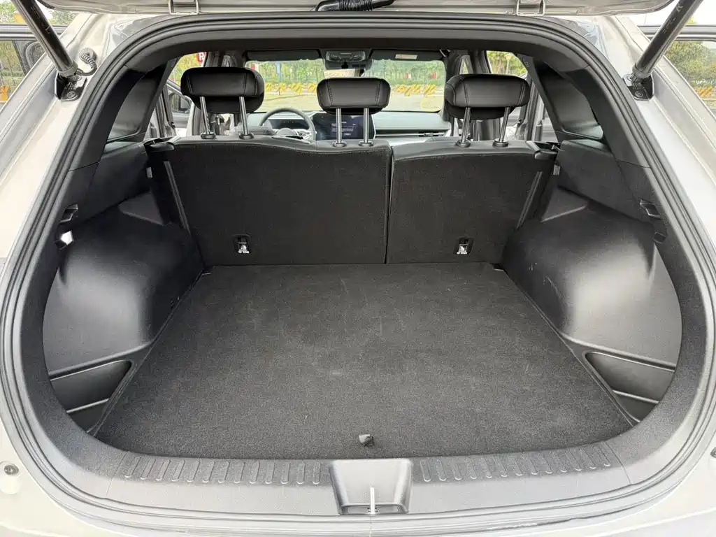 Haval Shenshou — миниатюра 32