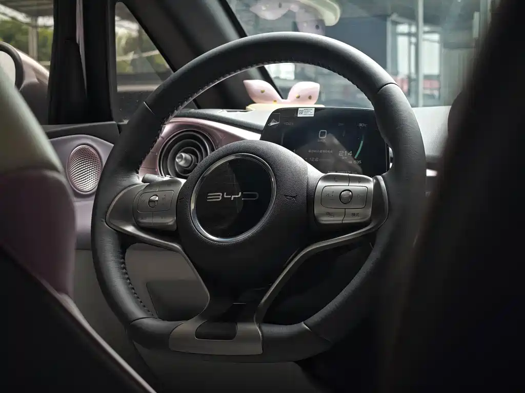 BYD Dolphin — миниатюра 9
