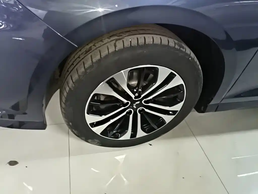 Wuling Victory — миниатюра 23