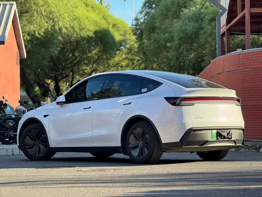 Tesla Model Y — миниатюра 4