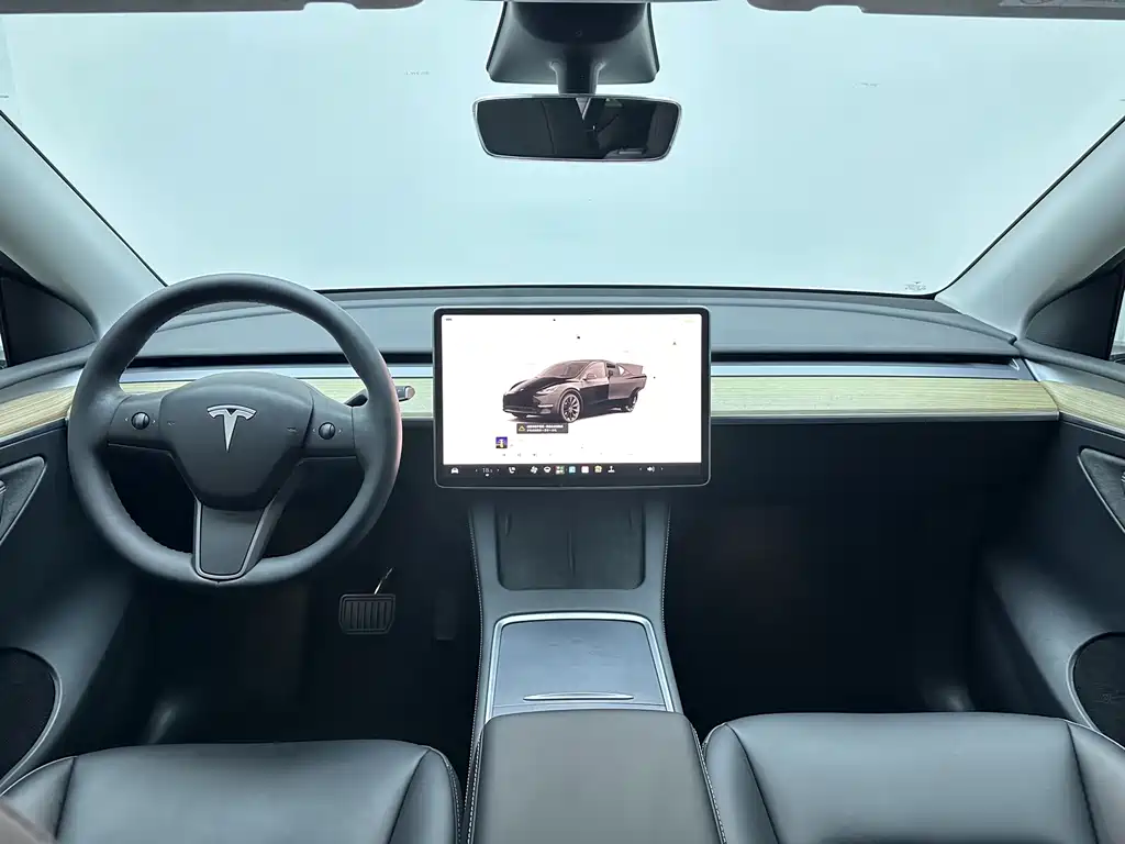 Tesla Model Y — миниатюра 14