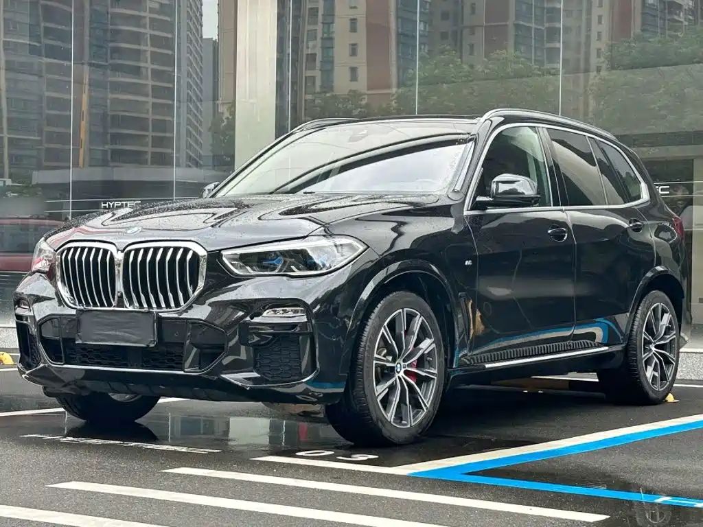 BMW X5 (Import) — миниатюра 2