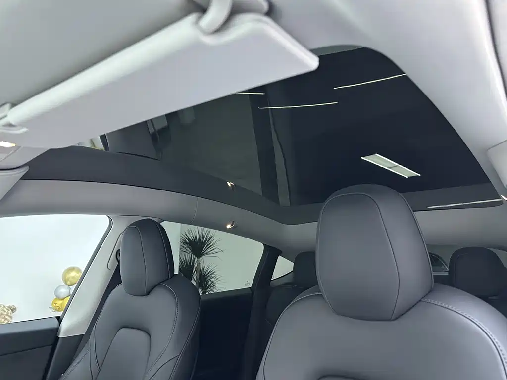 Tesla Model Y — миниатюра 19