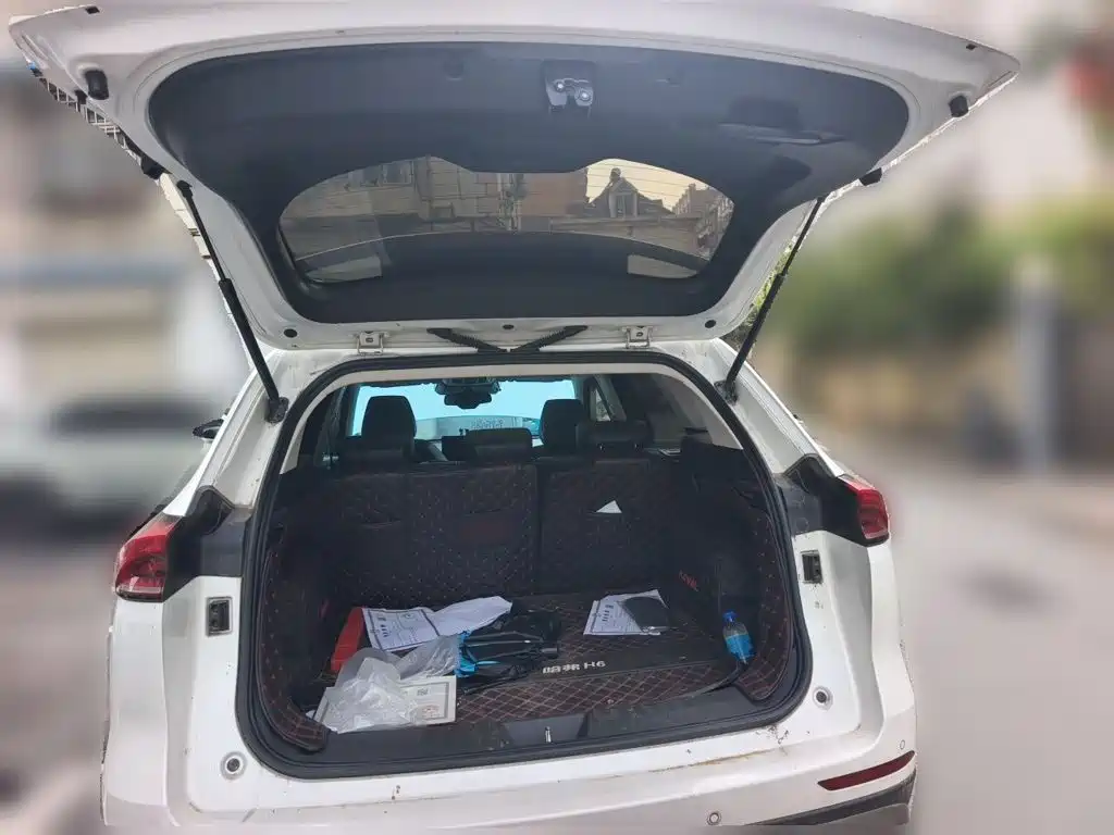 Haval H6 — миниатюра 15
