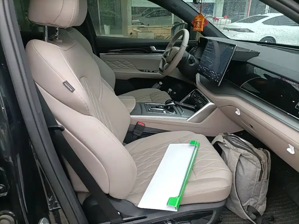 BYD Tang New Energy — миниатюра 25