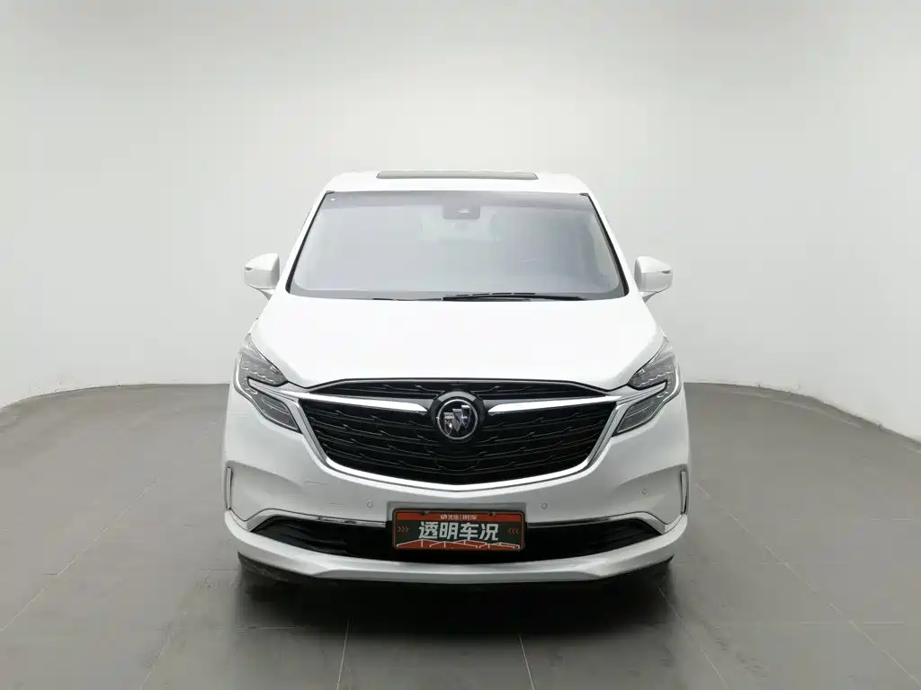 Buick GL8 — миниатюра 3