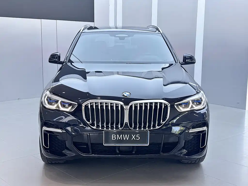 BMW X5 — миниатюра 2
