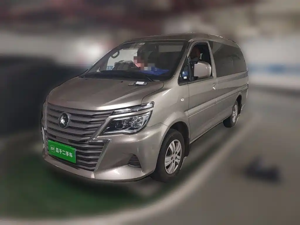 Купить Fengxing Lingzhi