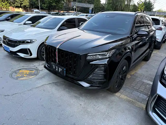 2025 Hongqi HS5
