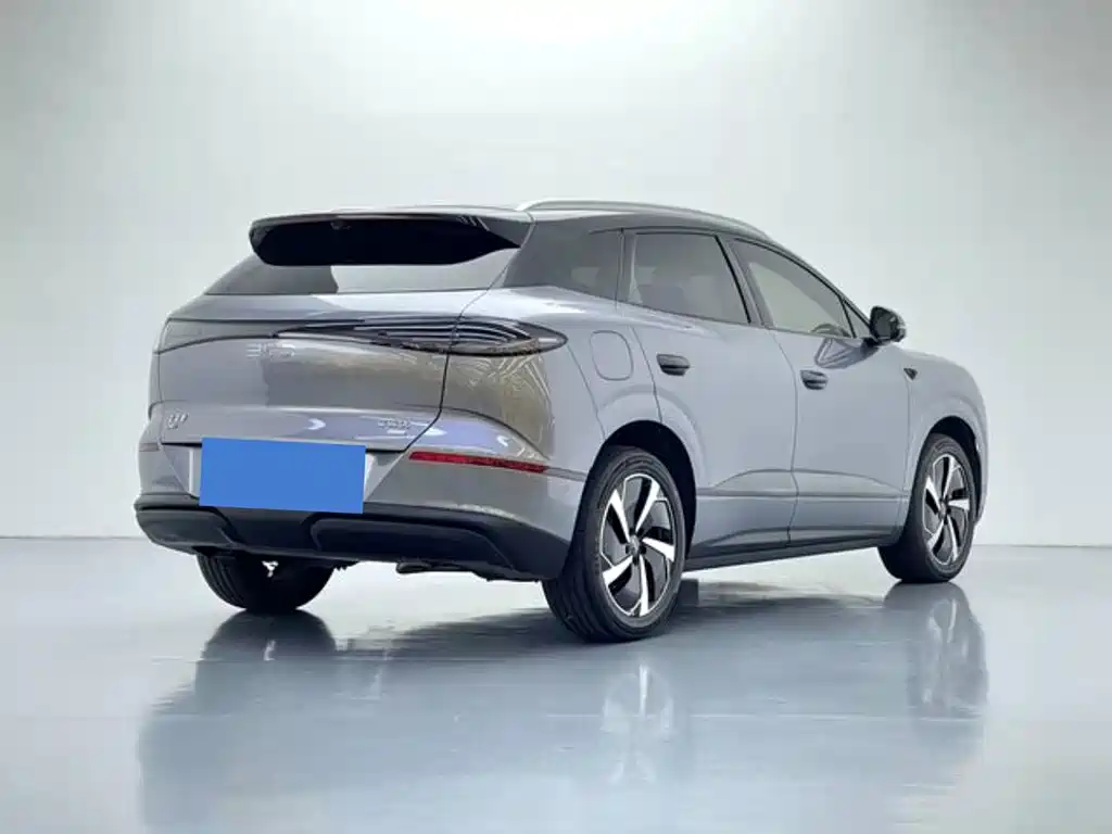 BYD Haisi 06 — миниатюра 6