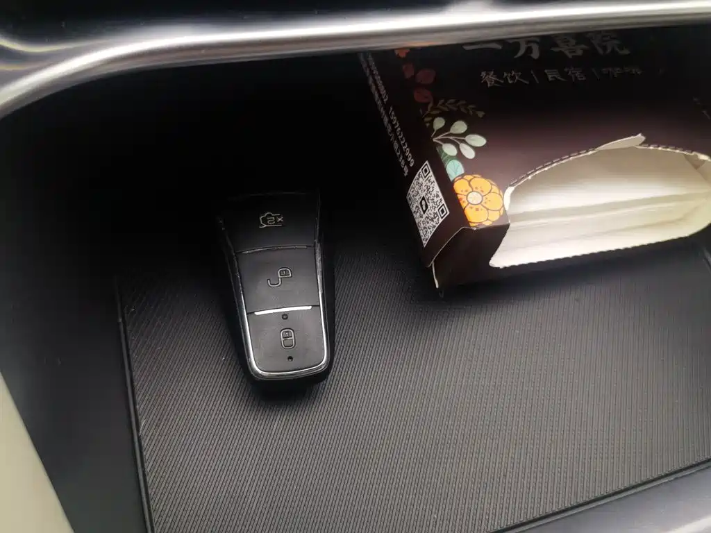 BYD PLUS New Energy — миниатюра 12
