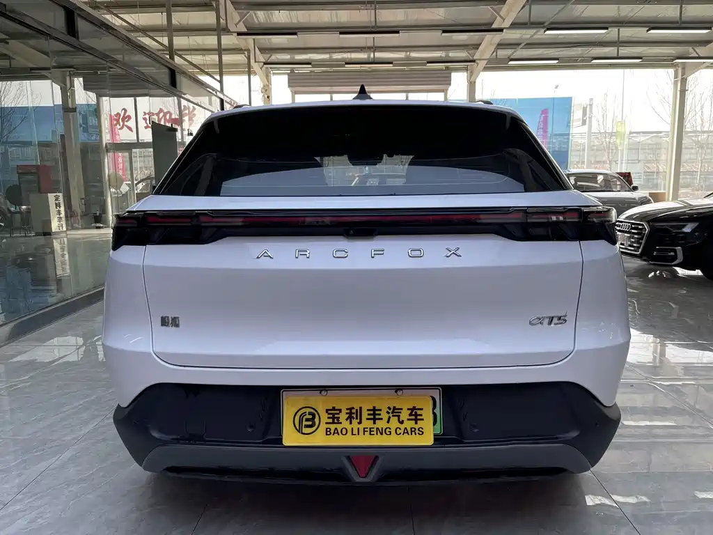 ARCFOX EXTREME FOX POLAR FOX ALPHA T5