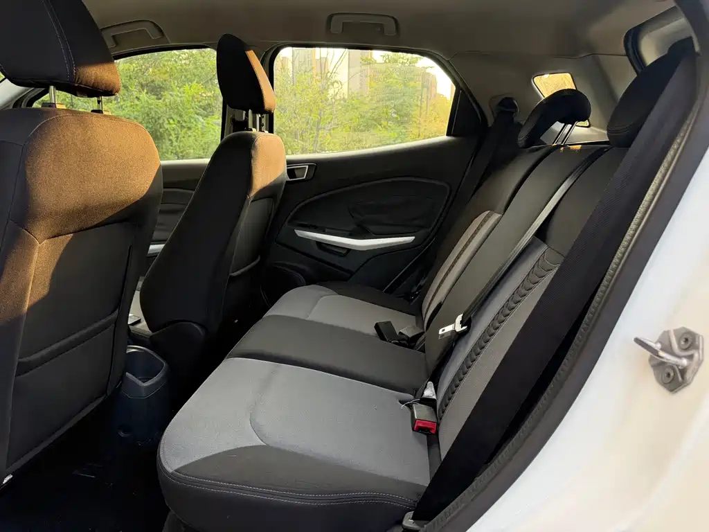 Ford Ecosport — миниатюра 8