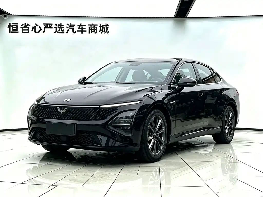 Wuling Xingguang 2024