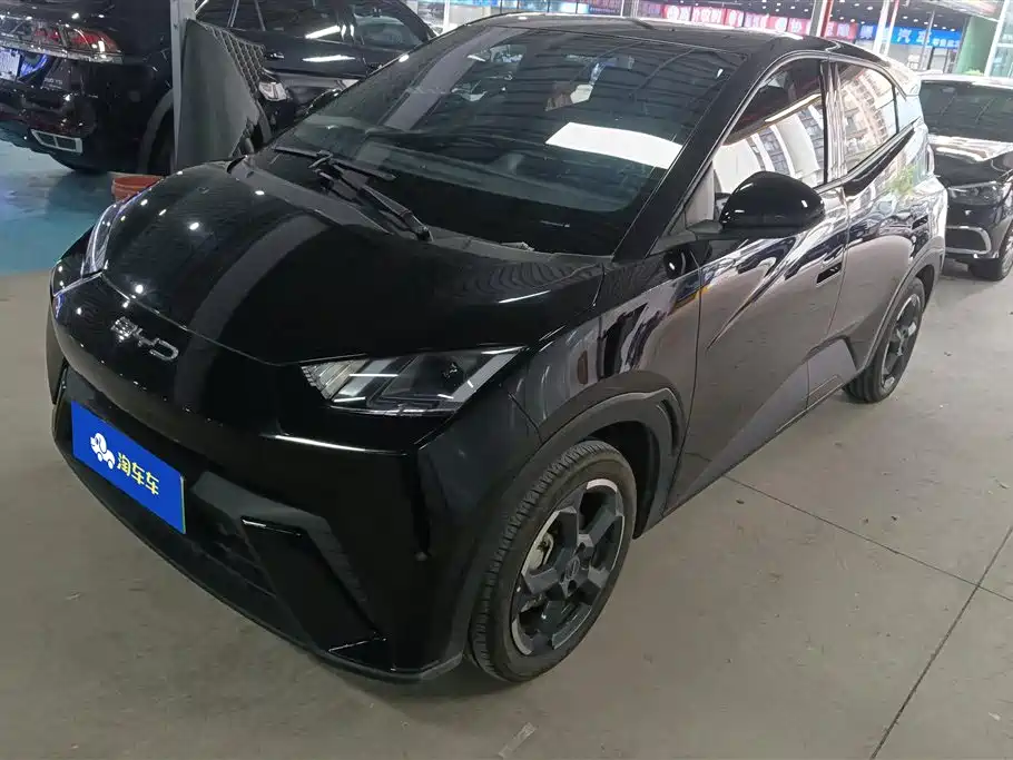 Byd Seagull 2024