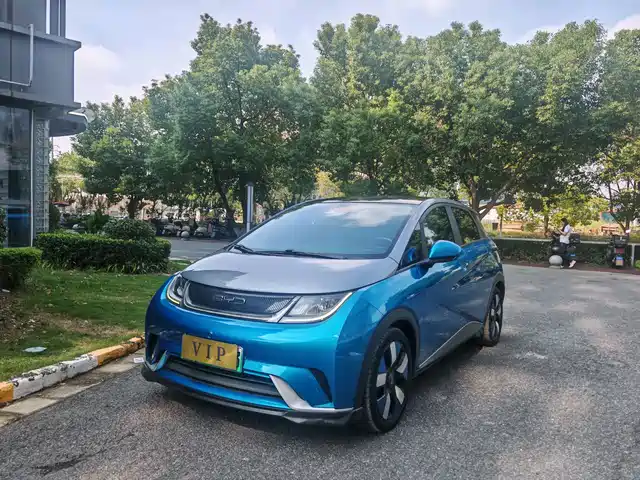 BYD Dolphin
