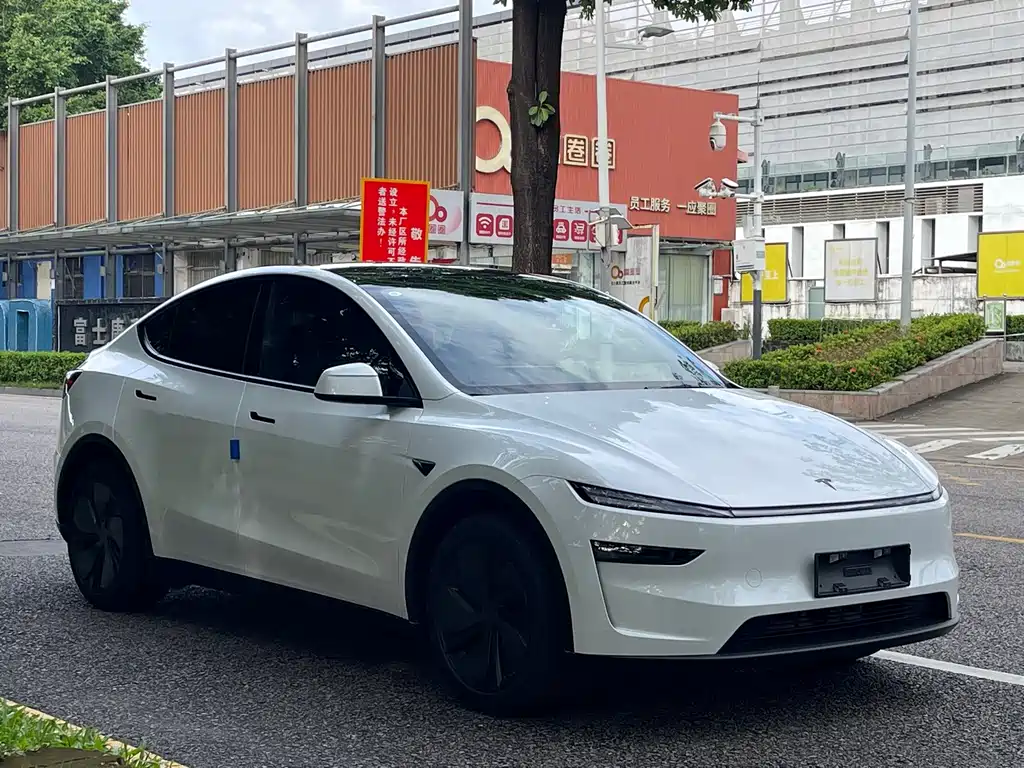 Tesla Model Y — миниатюра 3