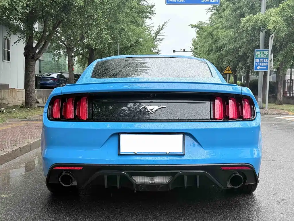 Ford Mustang — миниатюра 20