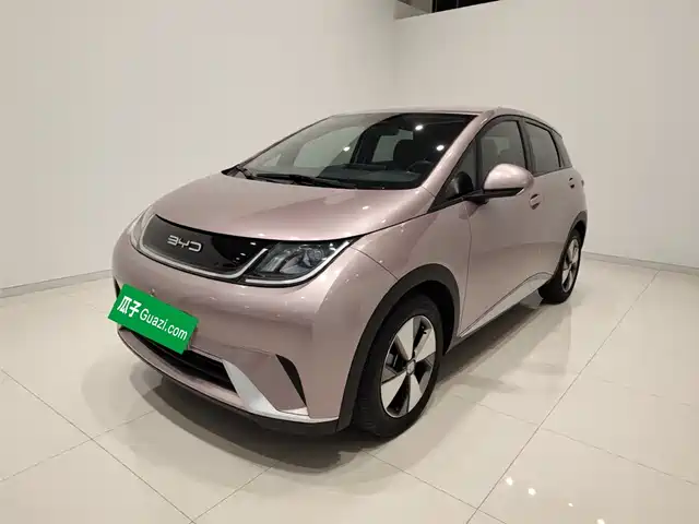 2023 BYD Dolphin