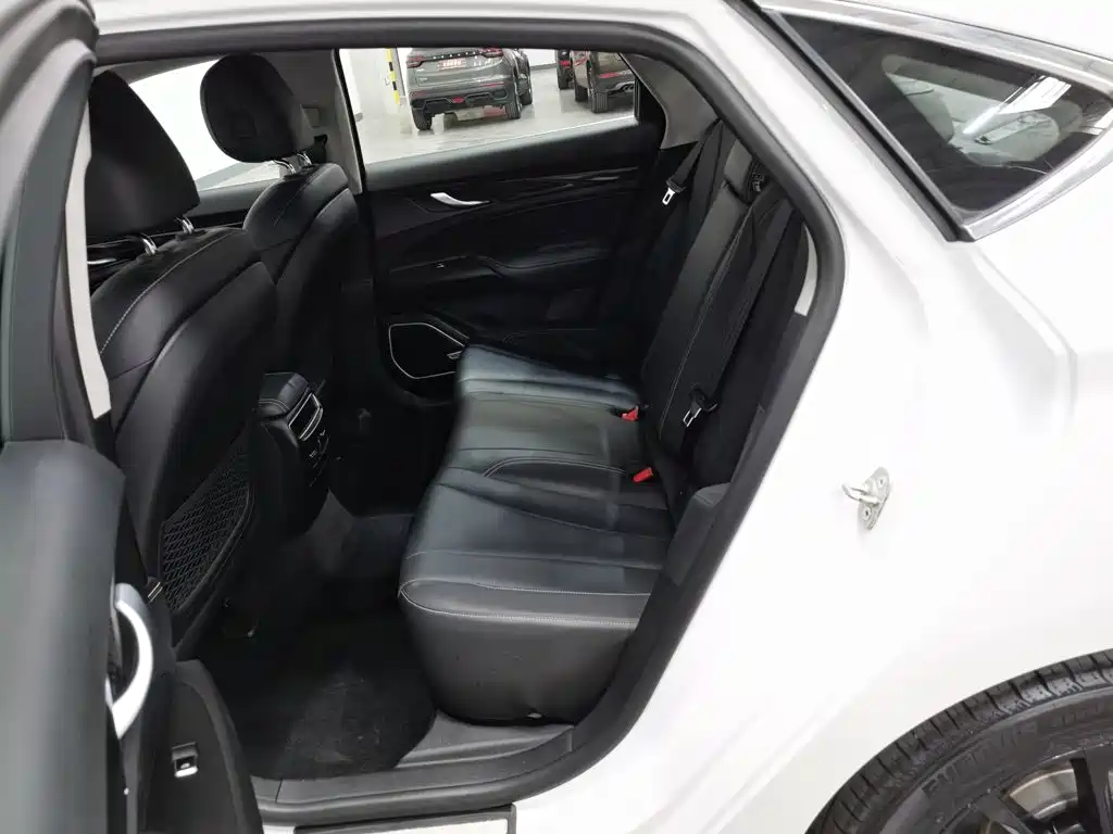 Geely Borui Hybrid — миниатюра 15