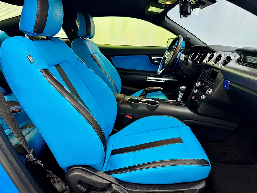 Ford Mustang 2.3T Performance Edition, фото 14