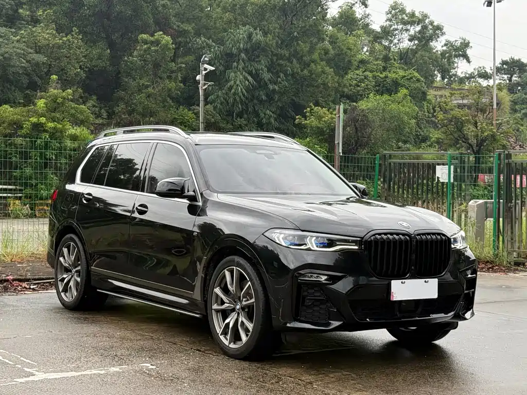 BMW X7 — миниатюра 3