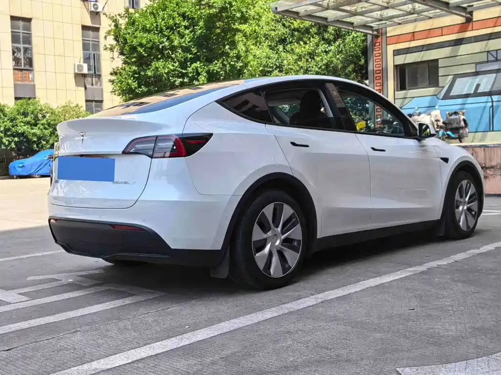 Tesla Model Y — миниатюра 7