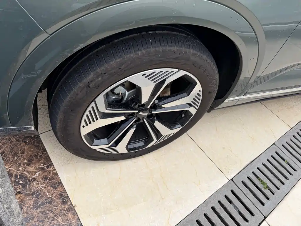 WEI PAI WEI BRAND BLUE MOUNTAIN