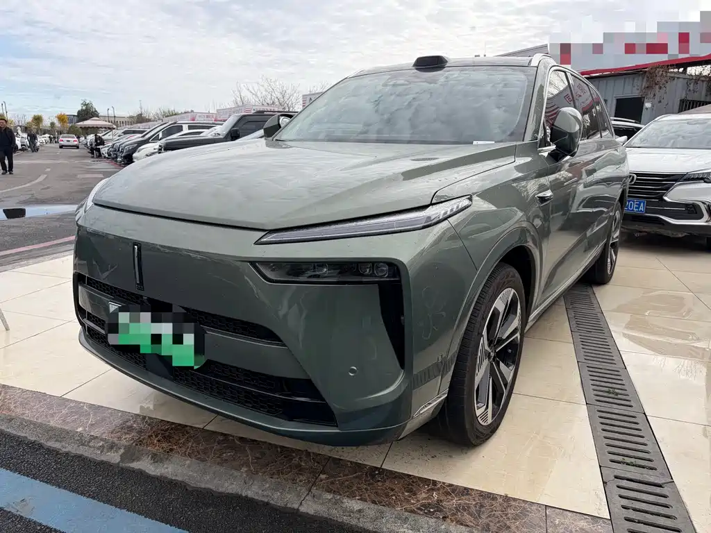 WEI PAI WEI BRAND BLUE MOUNTAIN