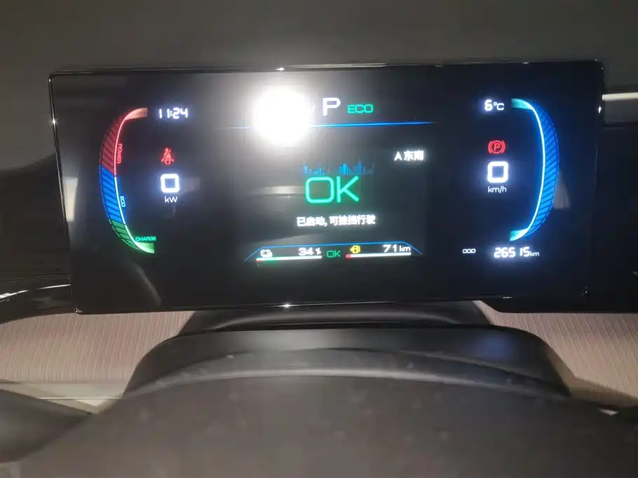 BYD SONGJIANG NEW ENERGY