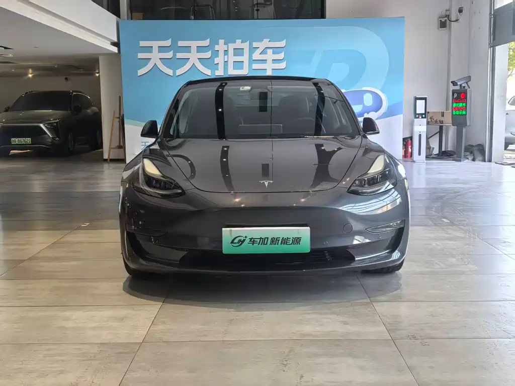 Tesla Model 3 — миниатюра 2