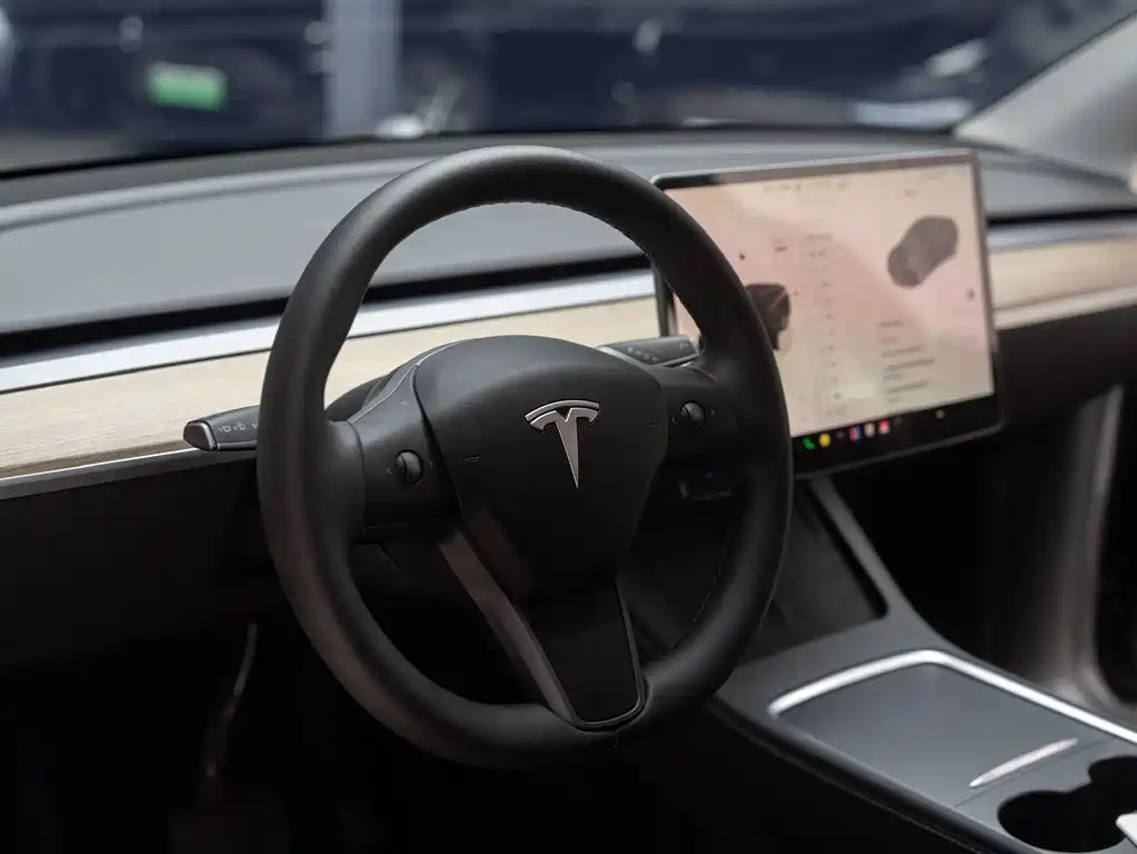 Tesla Model Y — миниатюра 9