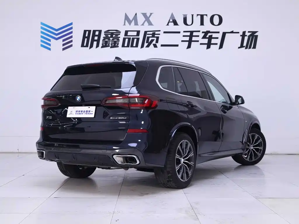 BMW X5 — миниатюра 7