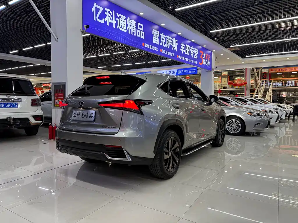 Lexus NX 2020 300h VI