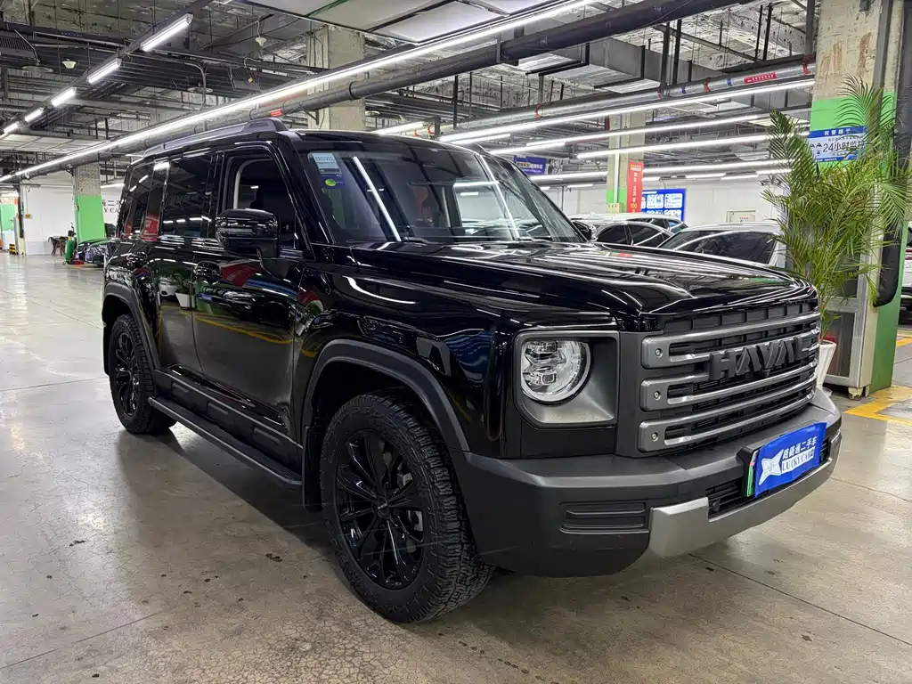 Haval Menglong New Energy — миниатюра 3