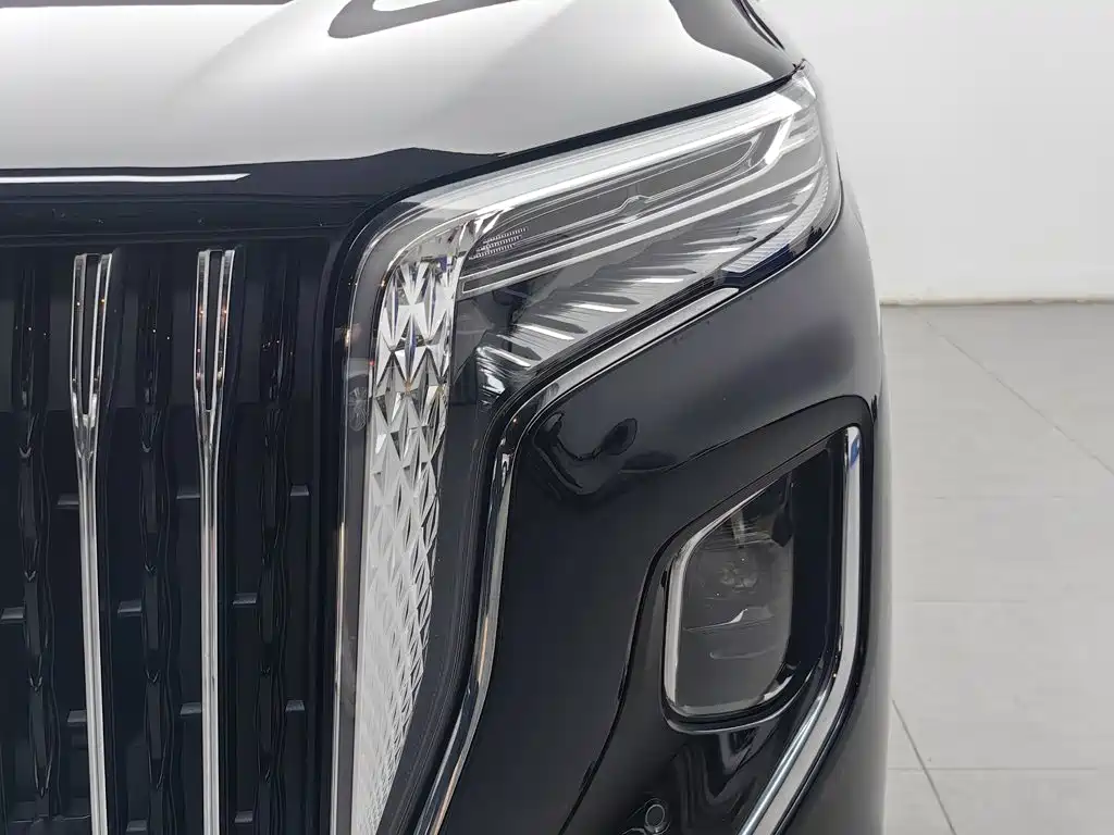 Hongqi Hongqi HQ9 — миниатюра 7