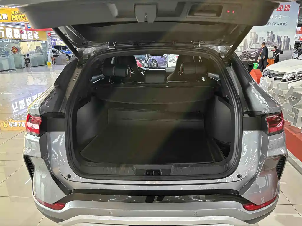 BYD SONGJIANG NEW ENERGY