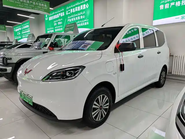 WULING WULING HONGGUANG NEW ENERGY 2025