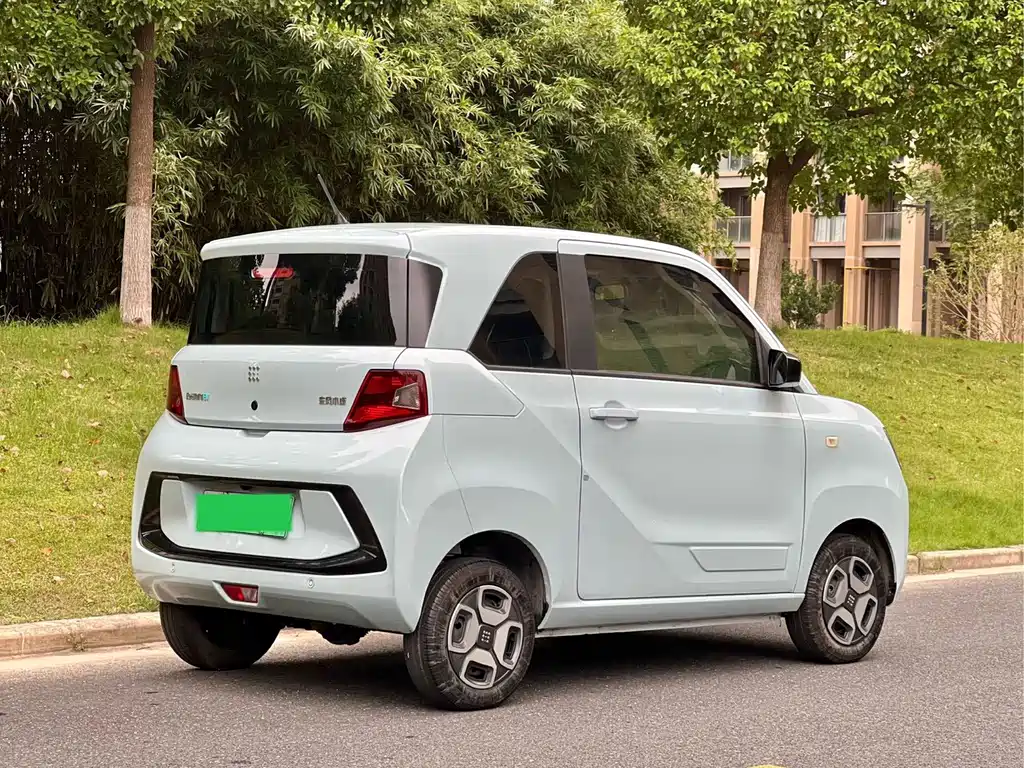 Fengguang Fengguang MINIEV — миниатюра 16