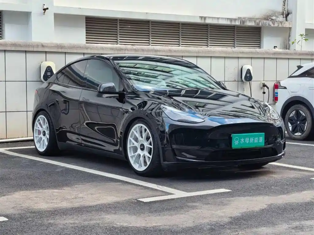 Tesla Model Y — миниатюра 12