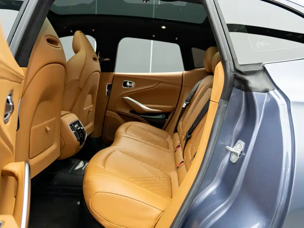 Aston Martin DBX — миниатюра 10
