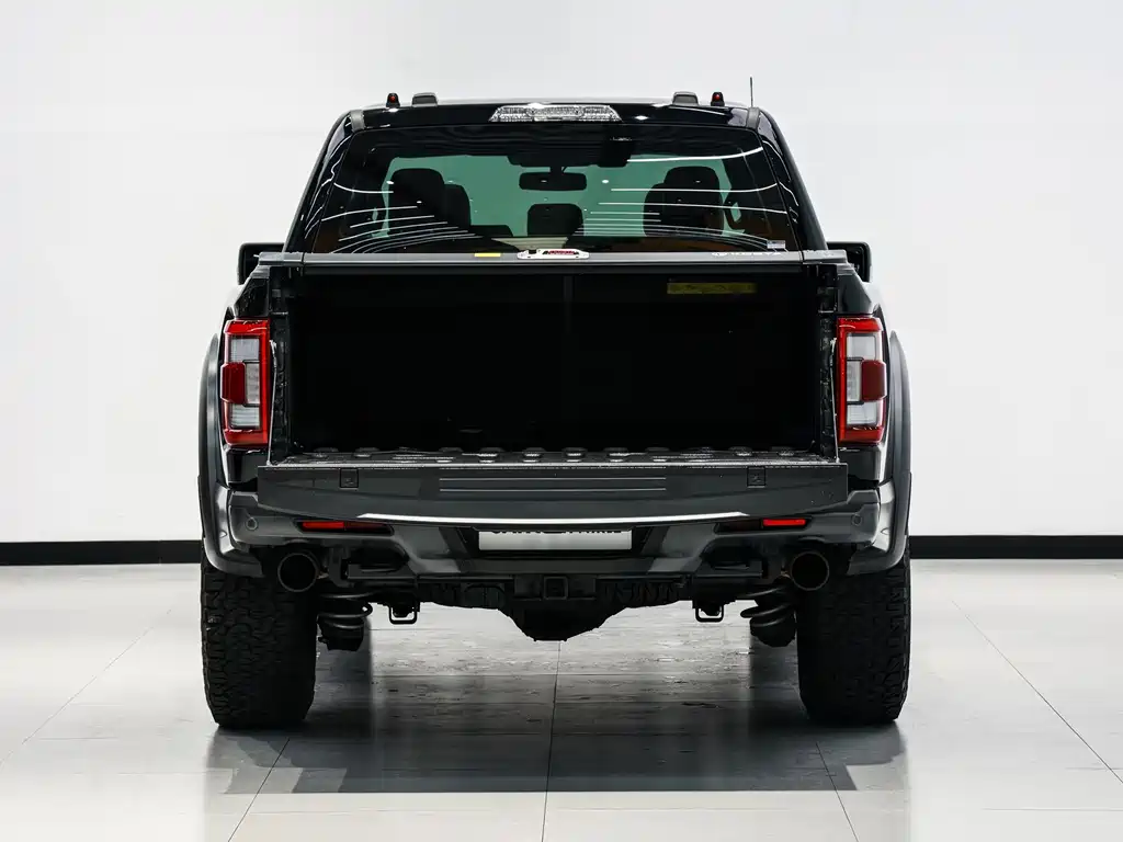 Ford F-150 Raptor — миниатюра 13