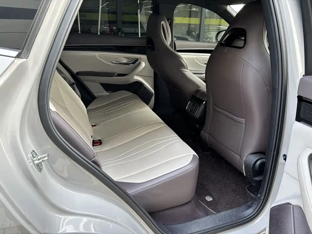 BYD PLUS New Energy — миниатюра 6
