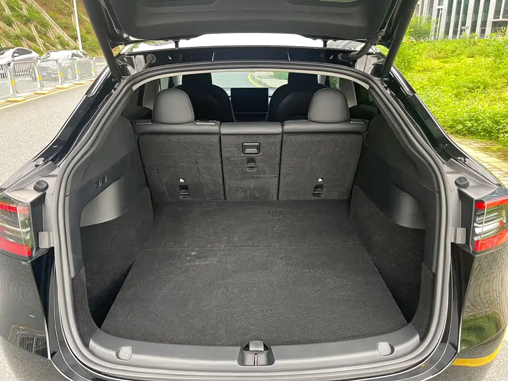 Tesla Model Y — миниатюра 15