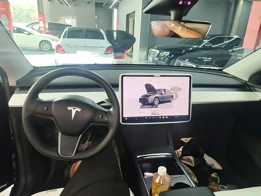 Tesla Model Y — миниатюра 10
