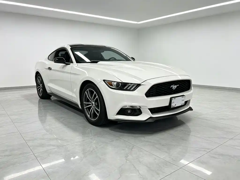 Ford Mustang — миниатюра 3