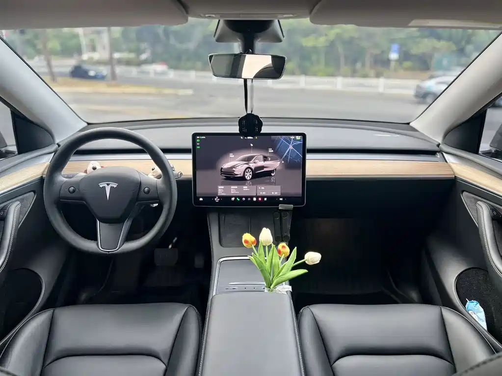 Tesla Model Y — миниатюра 11